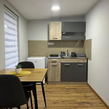 Brvnara Aleksa Orman Evi