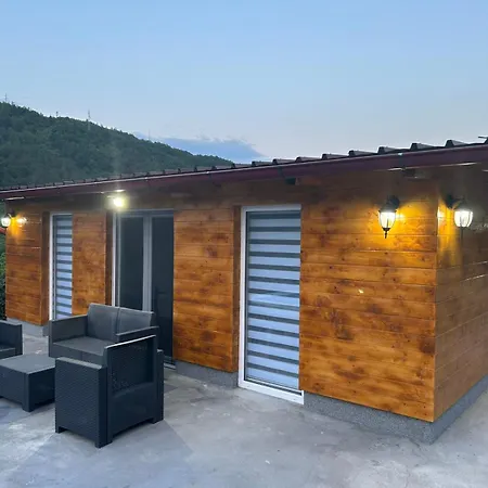 Brvnara Aleksa * Kraljevo